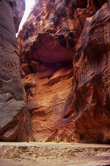 Water-stained walls tower overhead within Buckskin Gulch